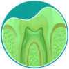 botao-A-endodontia-drenagem-de-abcesso-tratamento-de-canal-sem-dor-dra-sandra-vicente-barra-da-tijuca-clinica-faceorto-dendista-no-casa-shopping-barra-da-tijuca