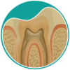 botao-A-endodontia-rastreamento-de-canal-tratamento-de-canal-sem-dor-dra-sandra-vicente-barra-da-tijuca-clinica-faceortoto-ortodontia-dentista-no-casa-shopping